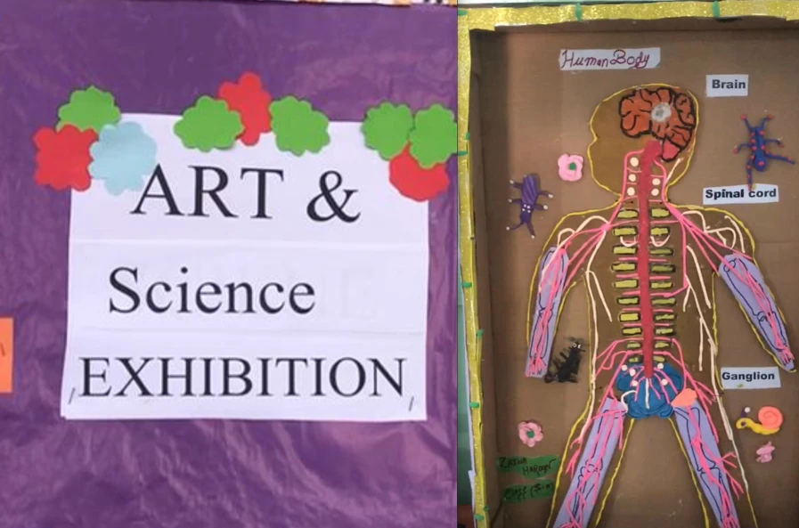 Arts and Science Exhibition at Sacred Heart Girls School shines with creative student projects