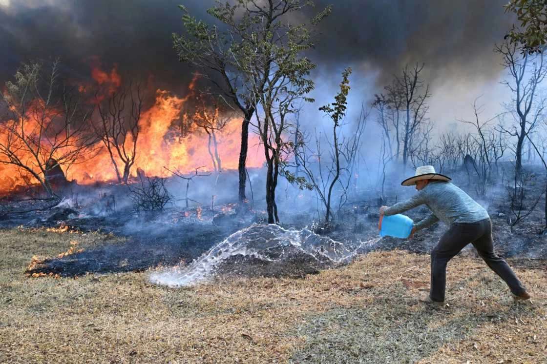 Brazilian farmers face growing concerns amidst raging fires and persistent drought