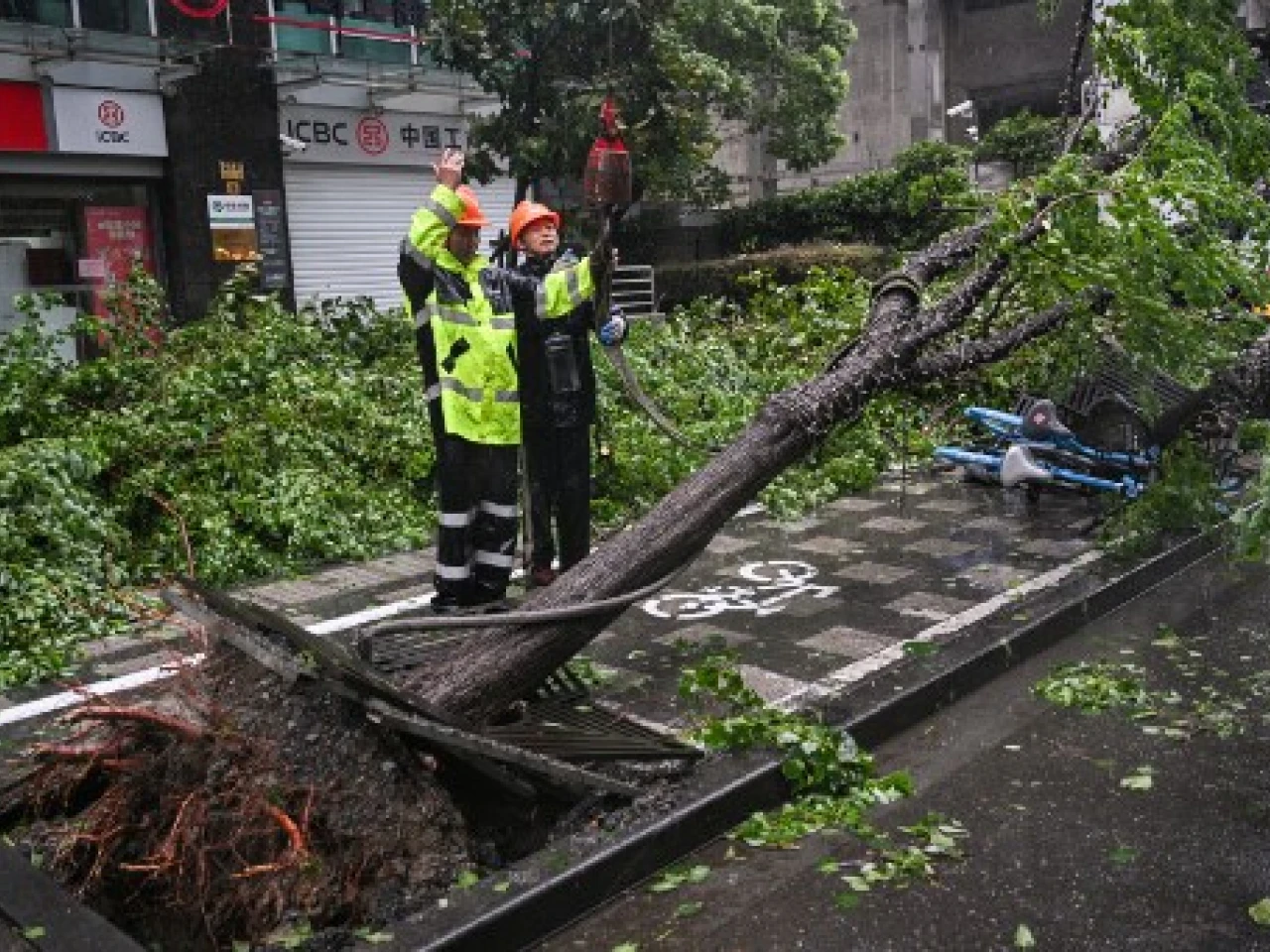 Shanghai begins recovery after decades-strongest storm batters city