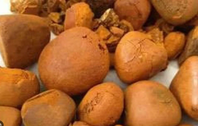 Two Uruguayans convicted for trafficking $3m in cow gallstones