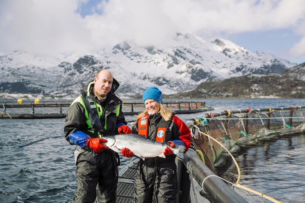 Declining Salmon populations spur Norway to impose fishing restrictions