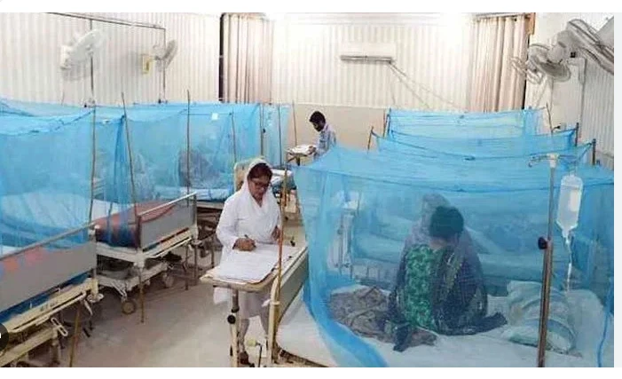 50 new dengue cases reported in Punjab