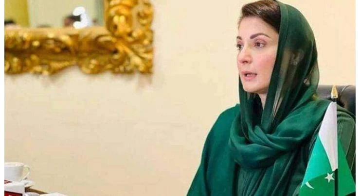 Chief Minister Maryam Nawaz seeks measures to promote farming of vegetables