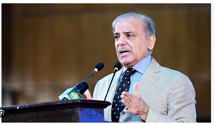 PM Shehbaz calls for sanctions on Israel for genocidal acts against Palestinians