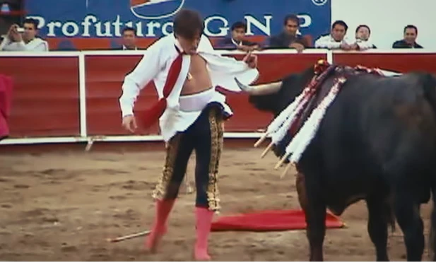 Bullfighting documentary wins top prize at San Sebastian