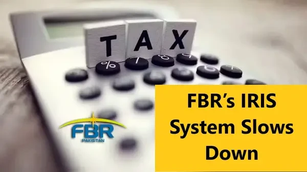 FBR's IRIS system down, taxpayers facing difficulties in filing returns