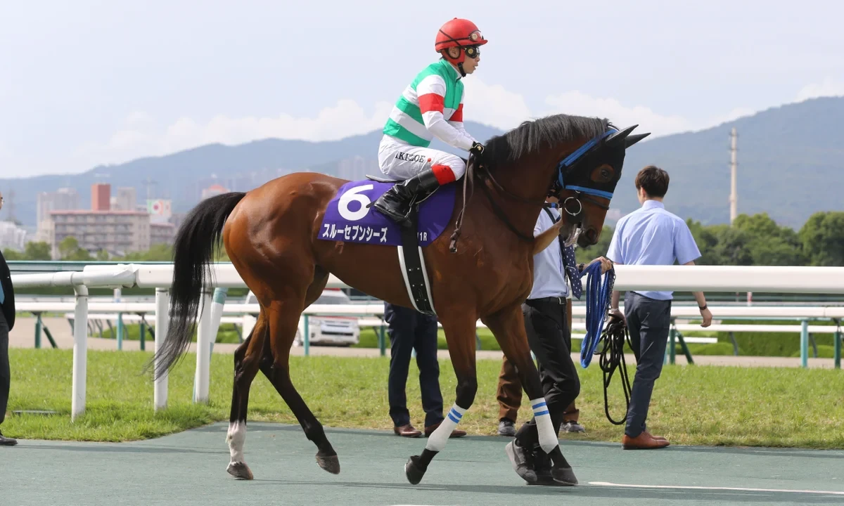 Japan's ongoing struggle for Prix de l'Arc de Triomphe triumph