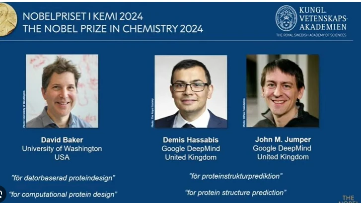 Trio wins chemistry Nobel for protein design, prediction