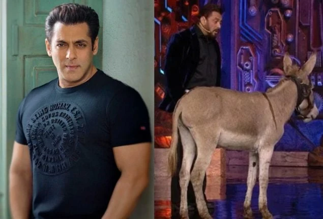 Salman Khan's Bigg Boss 18 asked to hand over donkey featuring as contestant in show