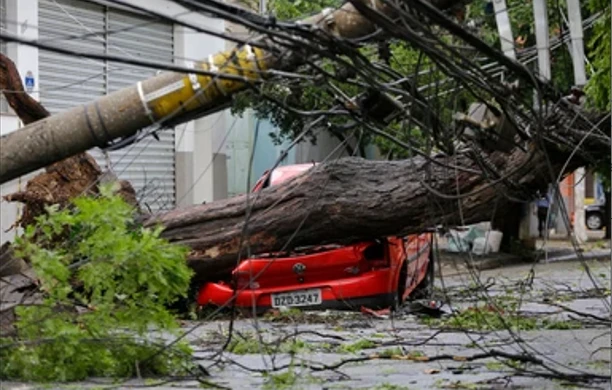 Eight dead as heavy rain thrashes Brazil after long drought