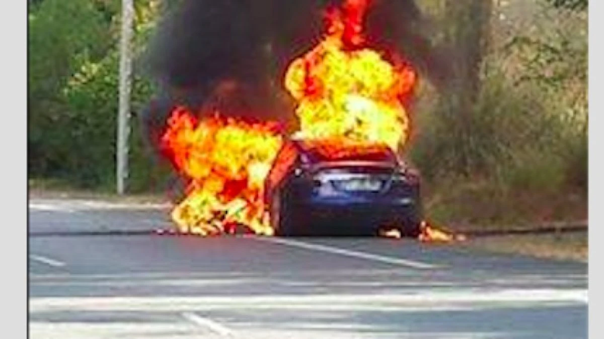 Tesla car fire in France claims four lives