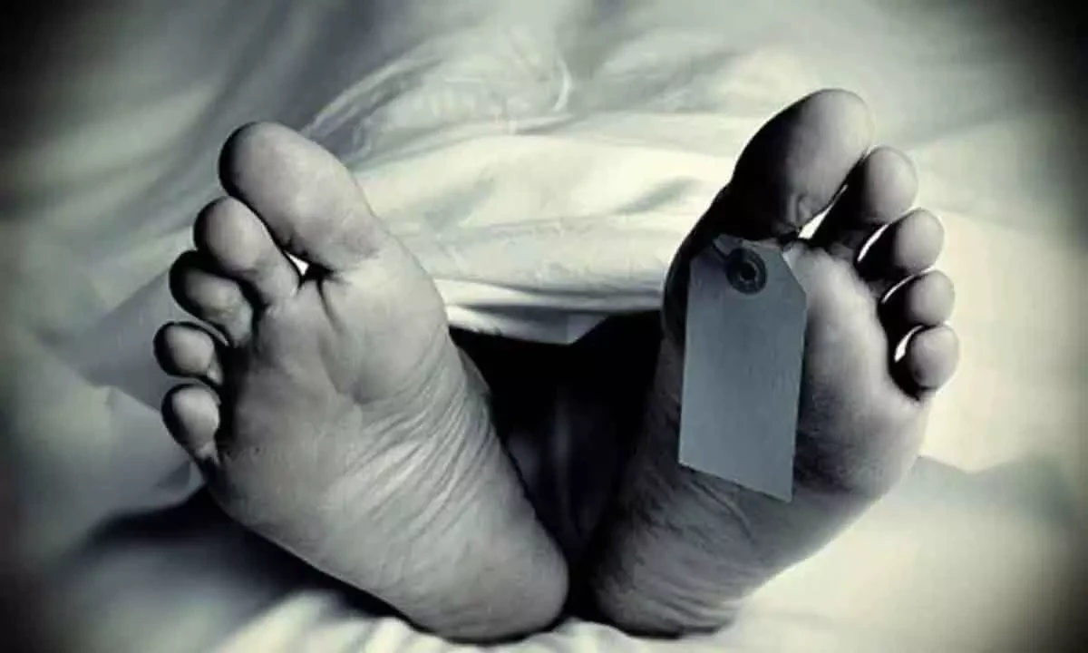 Man kills two nephews in Dadu over property dispute