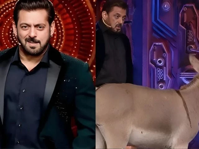 Donkey removed from Bigg Boss 18 following PETA's allegations