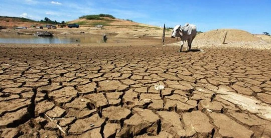 Historic drought in Southern Africa pushes millions to brink of starvation: UN