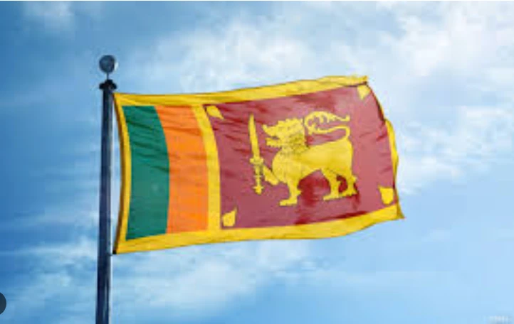 Sri Lanka arrests over 230 Chinese in cybercrime raids