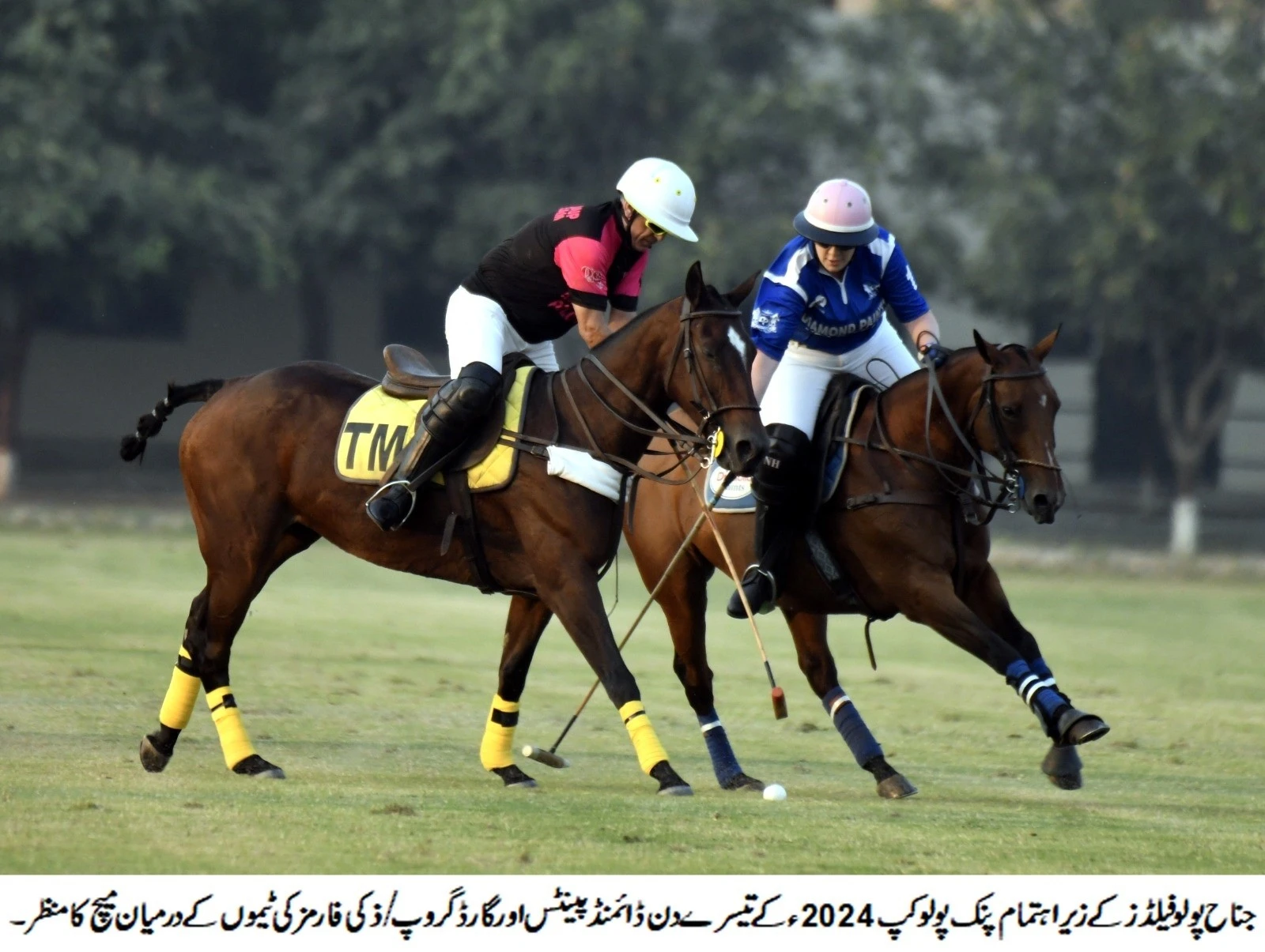 Diamond Paints and Sheikhoo Steel triumphant in Pink Polo Cup 2024