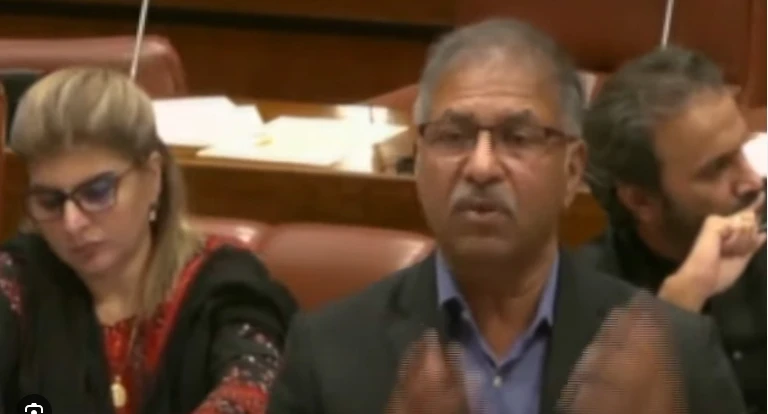 Barrister Ali Zafar asks Senate chairman not to consider PTI votes