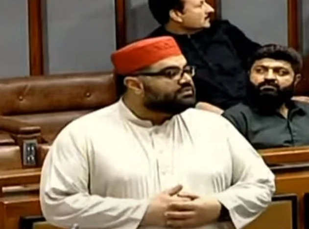 Judicial reforms to block future appointments like Saqib Nisar, Khosa: Aimal Wali Khan