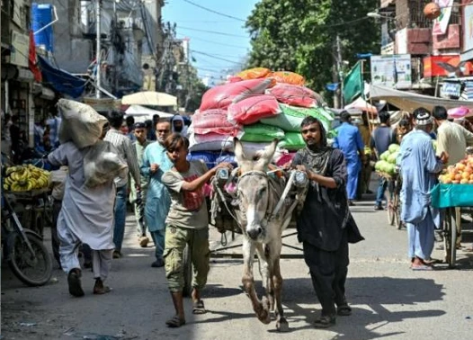 Modern pressures burden Pakistan's donkey business