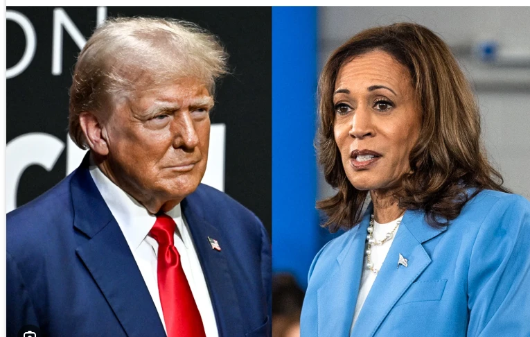 Harris and Trump push for every vote with just 14 days to go