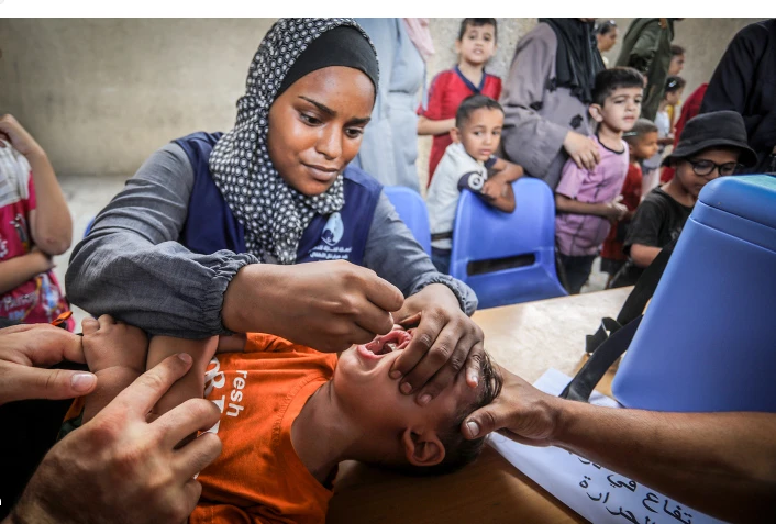 WHO says 'intense bombardment' halts Gaza polio vaccinations