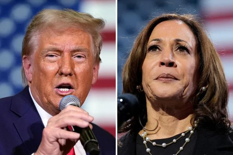 Trump, Harris brace for high-stakes final week in US election race