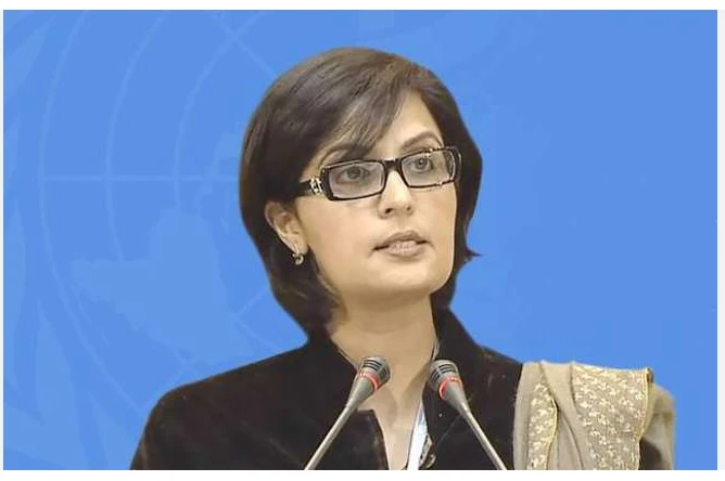 PTI’s Sania Nishtar resigns from Senate seat to take int’l job