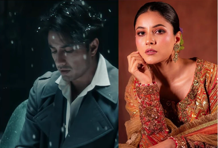 Shahnaz Gill applauds Ali Zafar’s newly released song 'Fade'