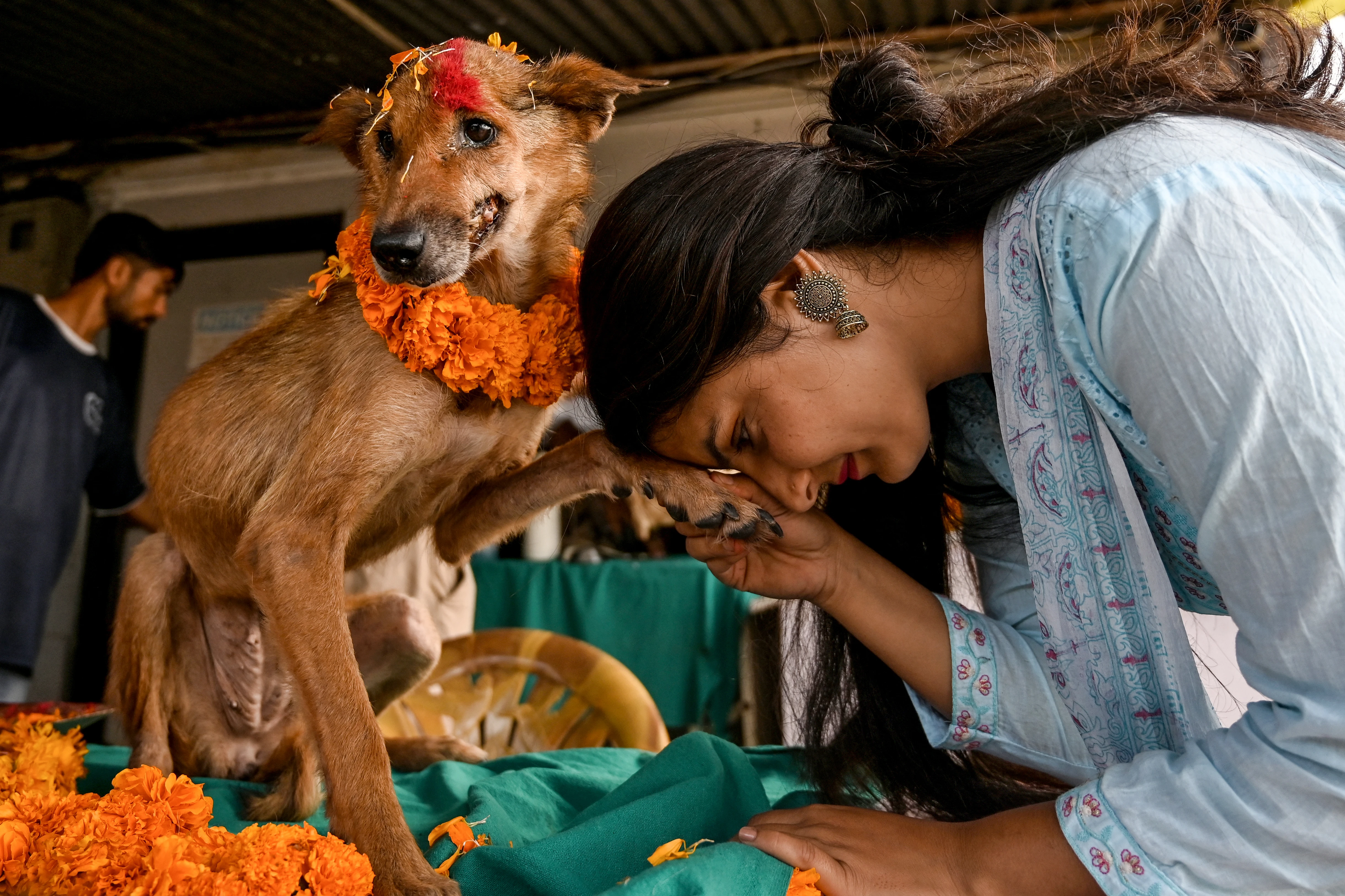 Nepal's day of the dog as part of Hindu celebrations