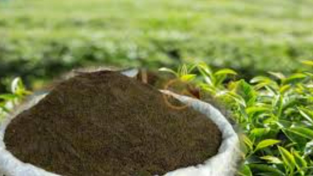 FBR fixes minimum price for tea leaves import