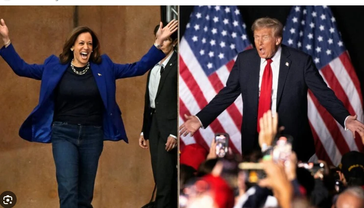 Final US campaign blitz for Harris and Trump