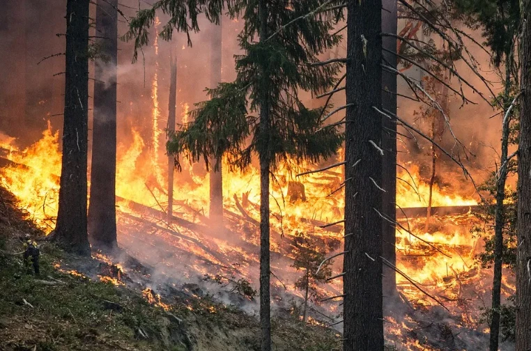 Forest fire in Abbottabad out of control on 3rd day