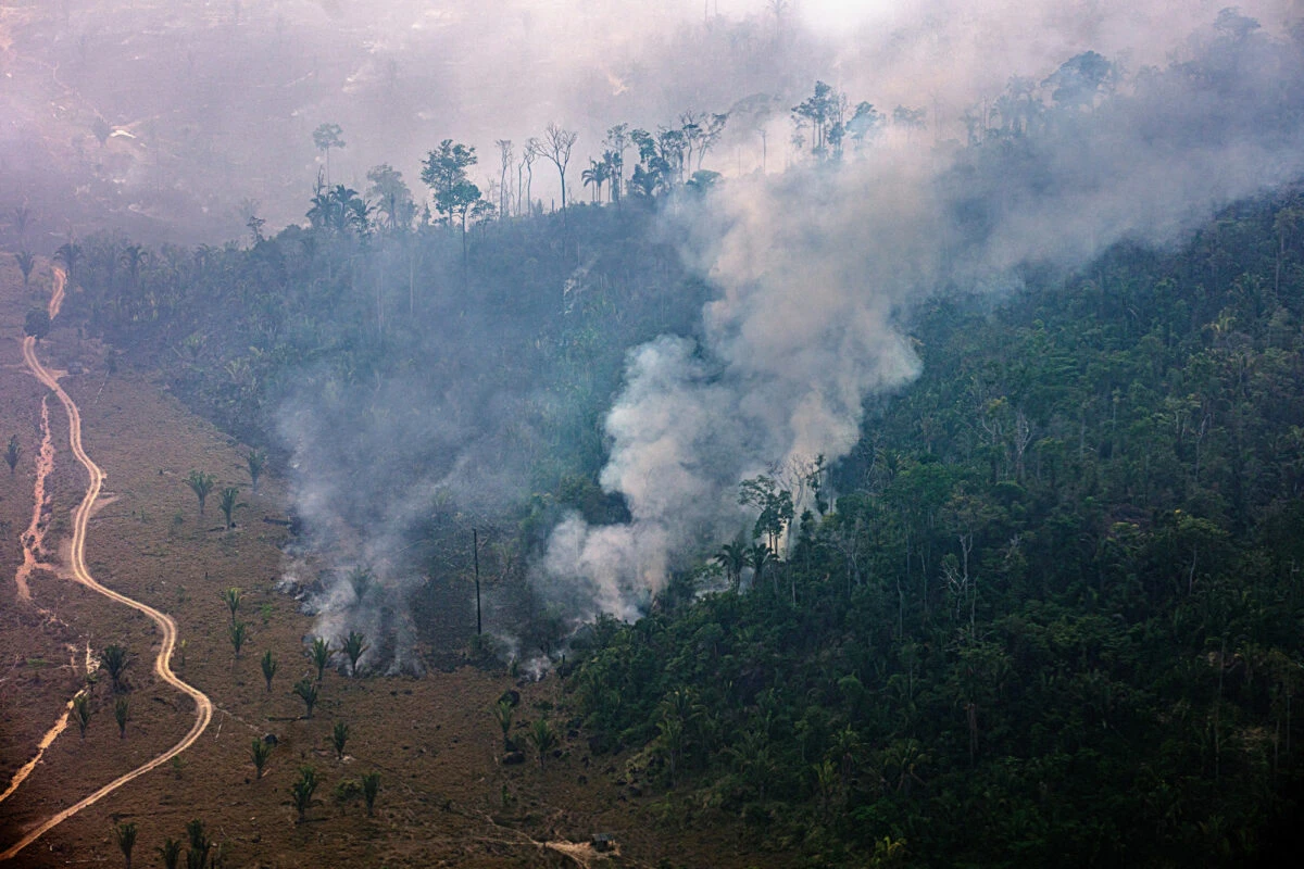 Brazil sets higher target for reducing greenhouse gas emissions