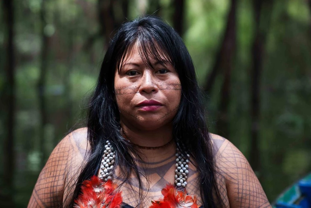 Brazil's indigenous leader sounds alarm over Amazon's future