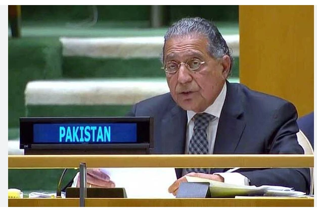 Pakistan opposes additional permanent seats in UN Security Council