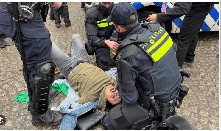 Dutch police detain pro-Palestinian protesters at banned demo