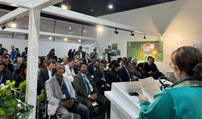 Pakistan launches 1st National Climate Finance Strategy on COP29 sidelines