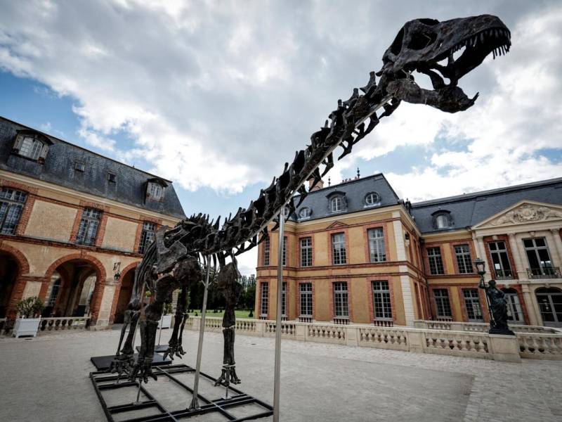 Dinosaur skeleton fetches 6 million euros in Paris sale