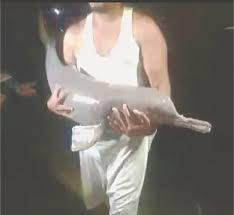 Rare blind dolphin trapped in Khairpur canal 