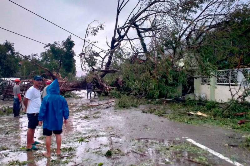 Super Typhoon Man-yi fells trees, power lines in the Philippines