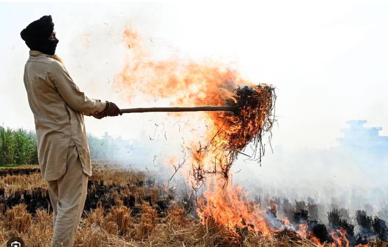 Illegal farm fires fuel Indian capital's smog misery