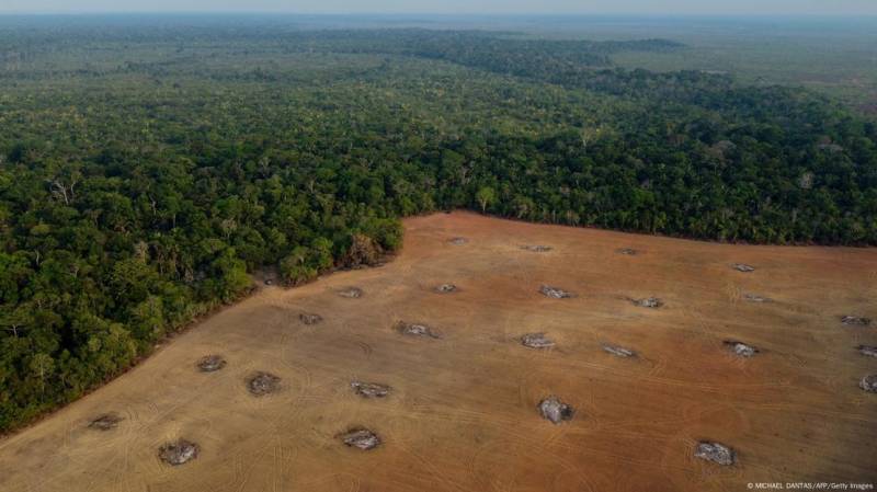 European states stand firm against softening deforestation rules