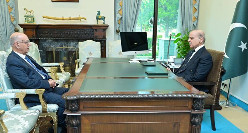 Senator Siddiqui briefs PM Shehbaz on performance of PML-N party in Senate