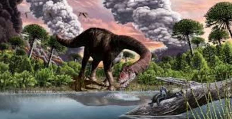 Faeces, vomit offer clues to how dinosaurs rose to rule Earth