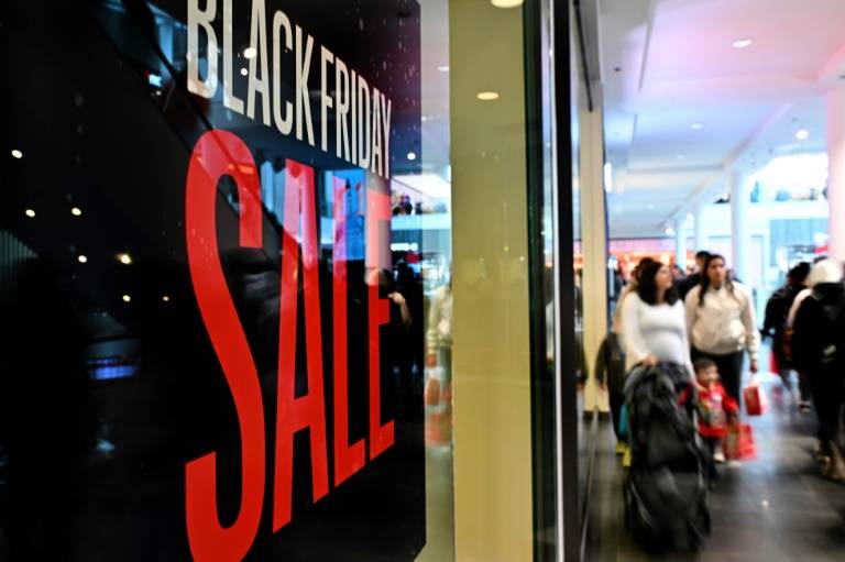 US Black Friday online sales hit record $10.8b