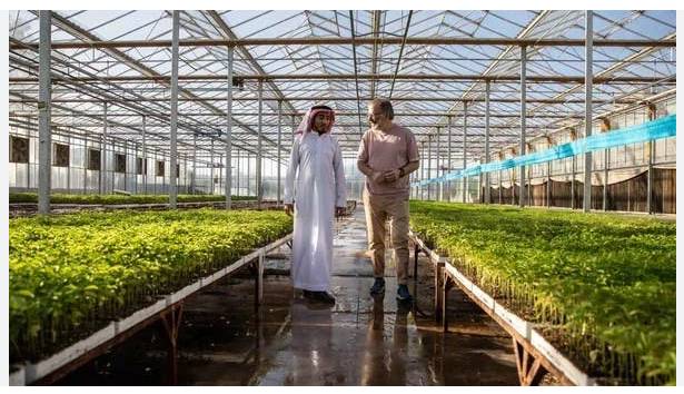 Saudi Arabia bets on tech to make deserts bloom