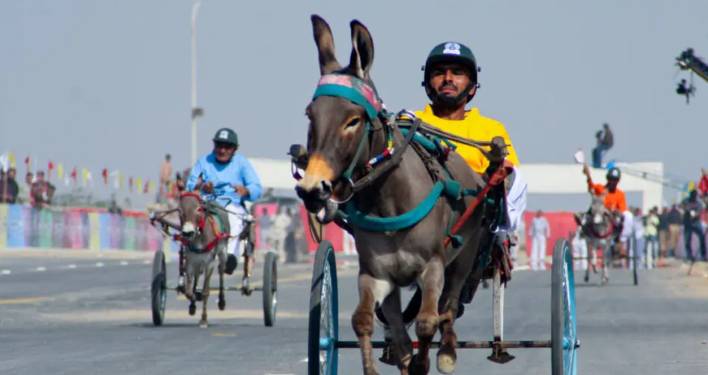 Unique donkey cart race in Karachi: Muhammad Arif emerges victorious