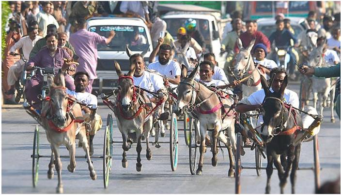 Champions Donkey Cart Race Karachi won by 'Sartaj' 