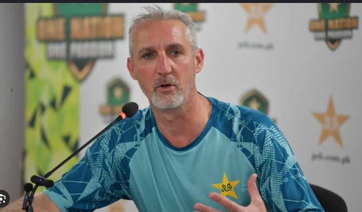 Gillespie opens up on Pakistan exit, says left out of major decisions