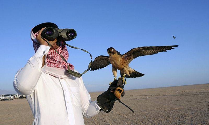 Special plane brings Saudi Prince to Balochistan's desert for hunting